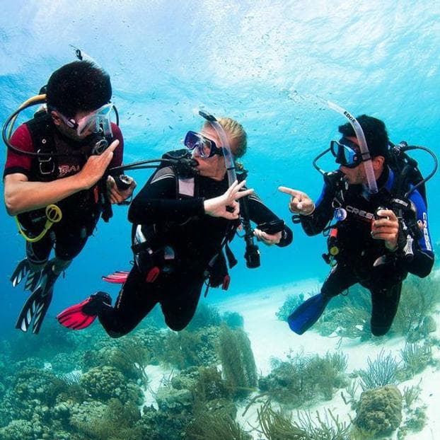 Open Water Diver