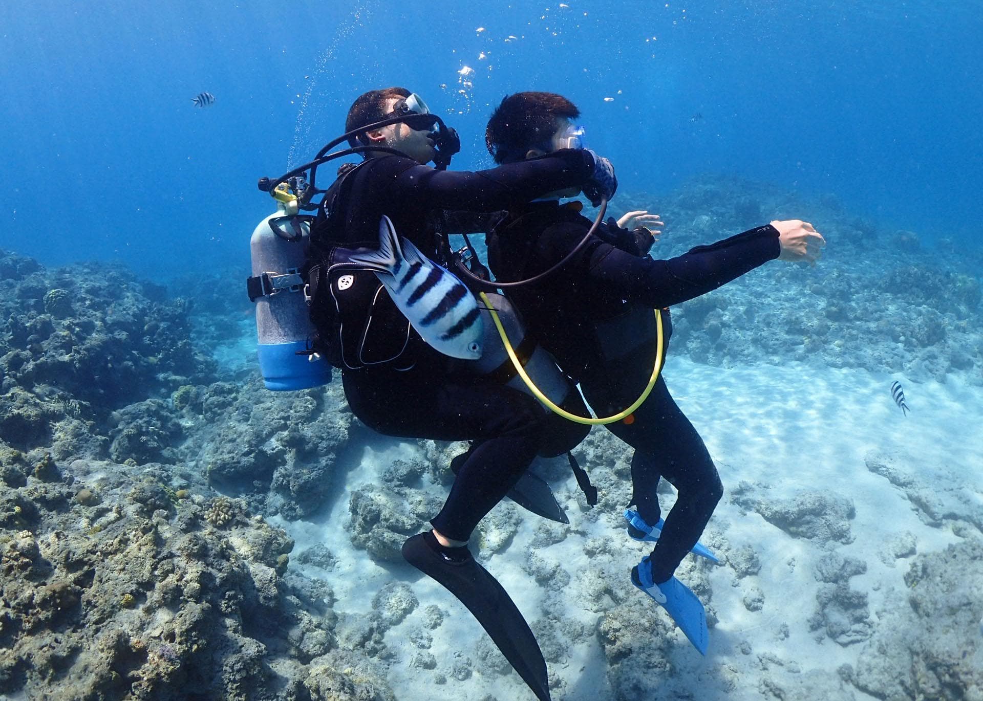 Rescue Diver