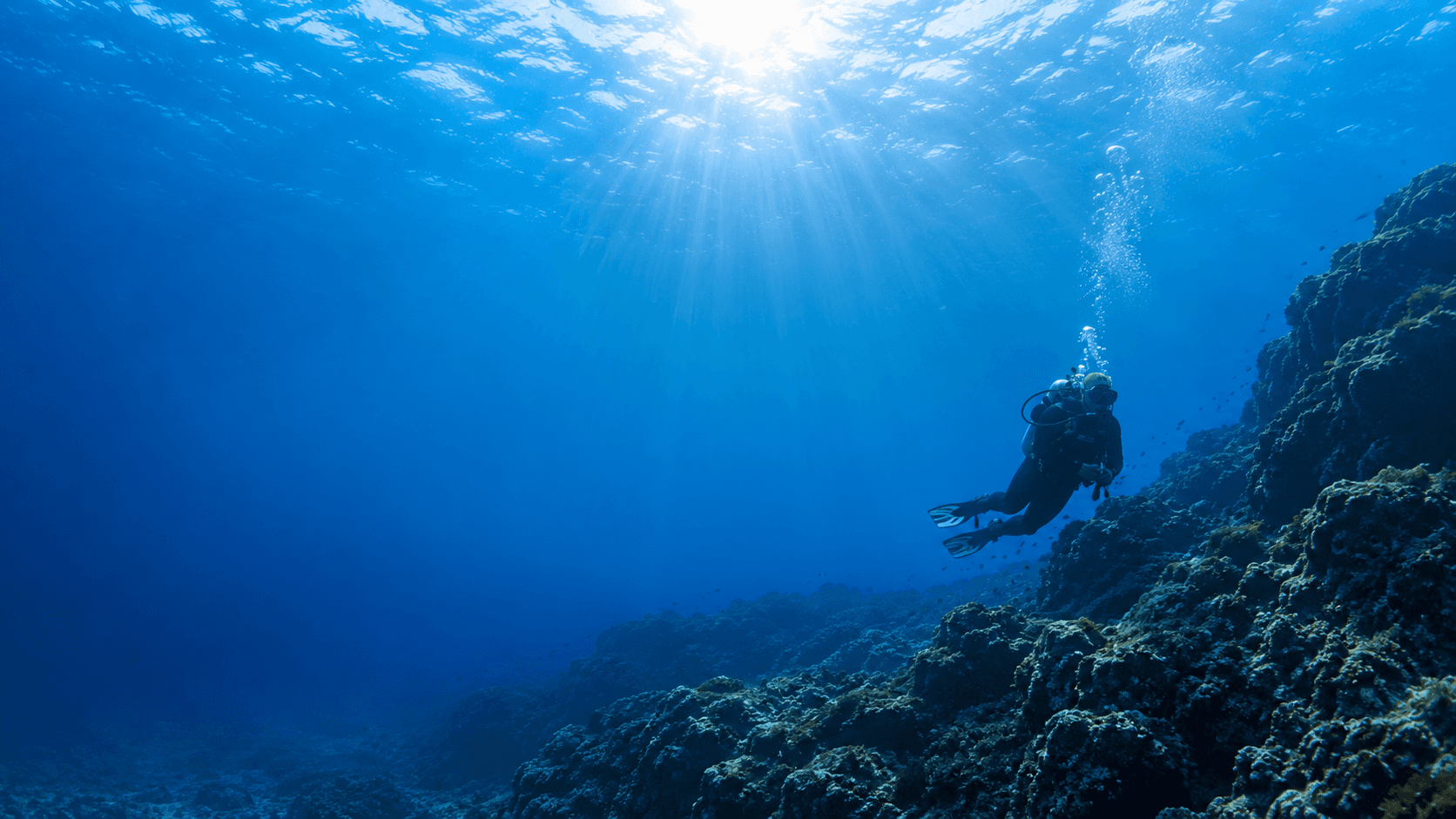 SEONG SAN SCUBA PADI 다이빙 교육